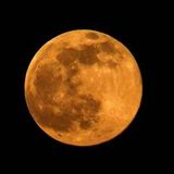 Next Stop The Moon