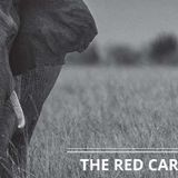 Intervista a Francesco Bocconi / The Red Carpet (a cura di Giuseppe Marino) #RadioBarrio