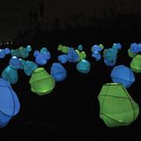 RIO DE BASHEVINA NIGHTS