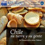 Chile su Tierra y su Gente 06 de Dic 2015, Programa 321