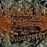 VCMIX03 - Viral Meltdown - Mixed by SpeedGestoert