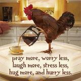 Stressed Like A Chicken . . . 06.03.2016