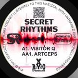 Visitor Q - Secret Rhythms #28