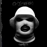 The Message (New Apollo Brown, Atmosphere, Nas, Chinese Man, Koss & A.G, XV, Logic, Stwo...)