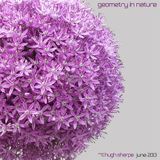 Geometry In Nature - June 2013 part 1
