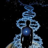 Intention:NeoHuman