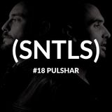 SNTLS #18: Pulshar