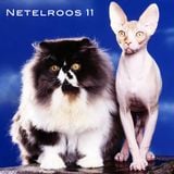 NETELROOS 11