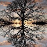 The | Funk Core | Drumstep | Mix