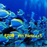 Toadcast #209 - The Fishcast