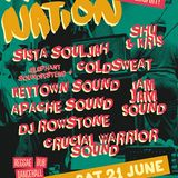 Jam Jam Sound @ Rasta Nation #48 day 2 (June 2014) part 10/12
