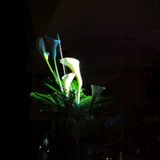 confused mix 201105