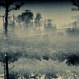 On Stranger Shores