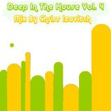 Deep In The House #4 (By Chriss Izovitch)