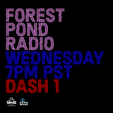 Forest Pond Radio ep 37 - Guest Set - DJ Trackstar presents Ghost Stories (Ghostface mix)