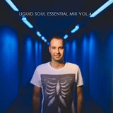 Liquid Soul Essential Mix vol.4