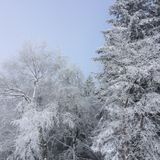 Winter-Special Mix by Fauth & Gundlach