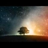 New Zealand Symphony Orchestra & Andrew Schenck - Adagio for Strings