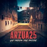 D. C. Nº 207