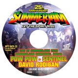 02 - POW POW MOVEMENT WARM UP