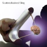 041 - Scatteredbrained Sling