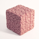 Brainwash