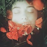 My Decay