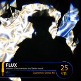 FLUX 25 // Guestmix: Dorsa Kh