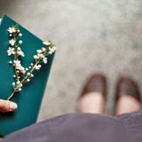 Tiếc là không thấy mưa