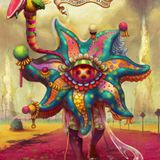 Mico X - Philosophical Starfish