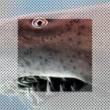 #€NTRRRRRAPA D€ BA$$KALLA#part5#(trap-trap-dubstep)set dj by NA-FENTT
