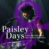 Paisley Days • Prince Mixtape Vol.3: Hits, B-Sides & Rarities