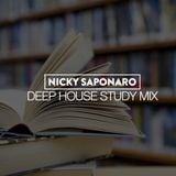 Deep House Study Mix Feb 2016