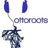 OTTOROOTS - FEVER TIME