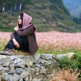 Đi về phía không anh || Hẹn nhau mùa tam giác mạch || Hạnh My