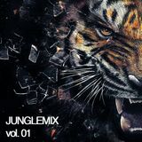Junglemix vol. 01