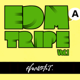 HONE$T @EDMA TRIPE Vol.1 4-9