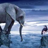 OPEN MIND LIFT UP &  DOWN