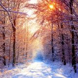 Hibernis (Chillout House Mix)