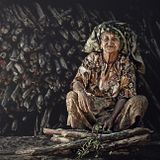 ""COLLECTING wOOD "" chillout & lounge compilation