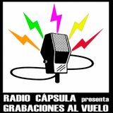 Grabaciones al Vuelo: NINETTE & THE GOLDFISH (americana/folk)