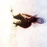 Funkwish deep mini mix 02.2012