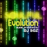 Soulful Evolution June 8th 2012 (Guest Produced by DJ SGZ)