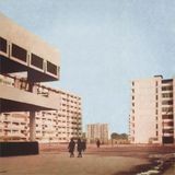 Genius is a Weapon: 1980-82