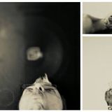 Mathew Stoned - MA8