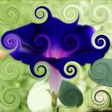 Dj Ali-Morning glory set 1