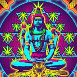 Senpati 604 - four seasons in quest for GOA