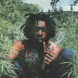 lkj, don drummond sks dub