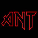 IRON MAIDEN (session)