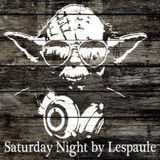 Electro Old School Saturday Night Mix by DJ Lespaule - Paris 10/2013